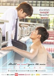 Poster for Until We Meet Again