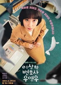 Poster for Extraordinary Attorney Woo