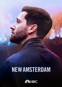 Poster for New Amsterdam