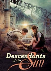 Poster for Descendants of the Sun
