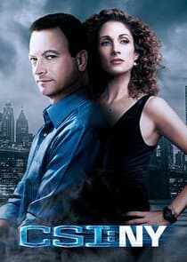Poster for CSI: NY