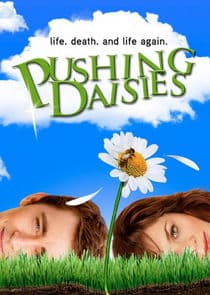 Poster for Pushing Daisies