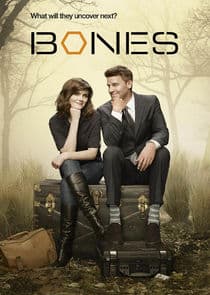 Poster for Bones