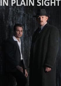 Poster for In Plain Sight