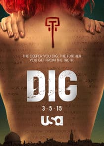 Poster for Dig