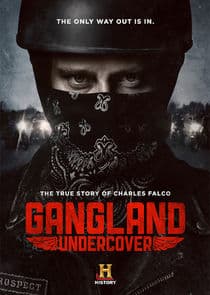 Poster for Gangland Undercover