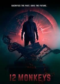 Poster for 12 Monkeys