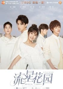 Poster for Meteor Garden