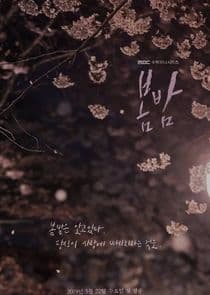 Poster for One Spring Night