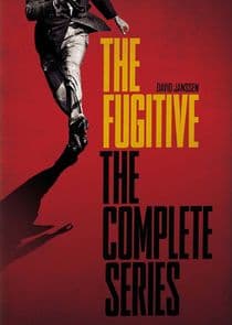 Poster for The Fugitive