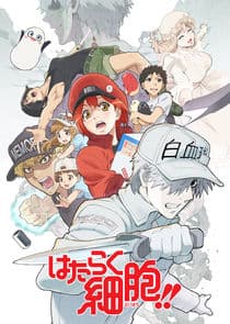Poster for Cells at Work!