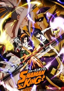 Poster for Shaman King