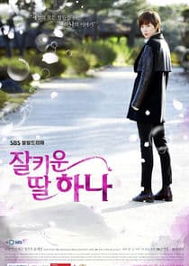 Poster for A Well Grown Daughter, Hana