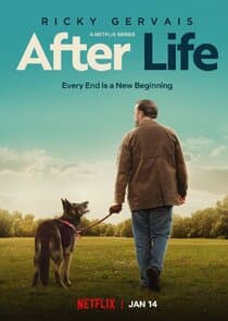 Poster for After Life