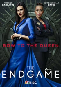 Poster for The Endgame