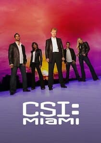 Poster for CSI: Miami