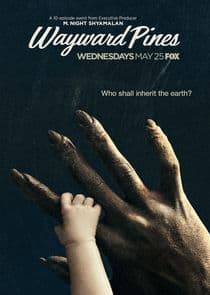 Poster for Wayward Pines