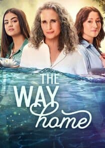 Poster for The Way Home