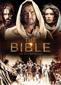 Poster for The Bible